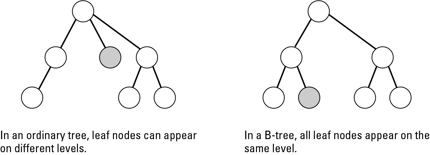 Figure 5-10: In a B-tree, all leaf nodes appear at the same level.